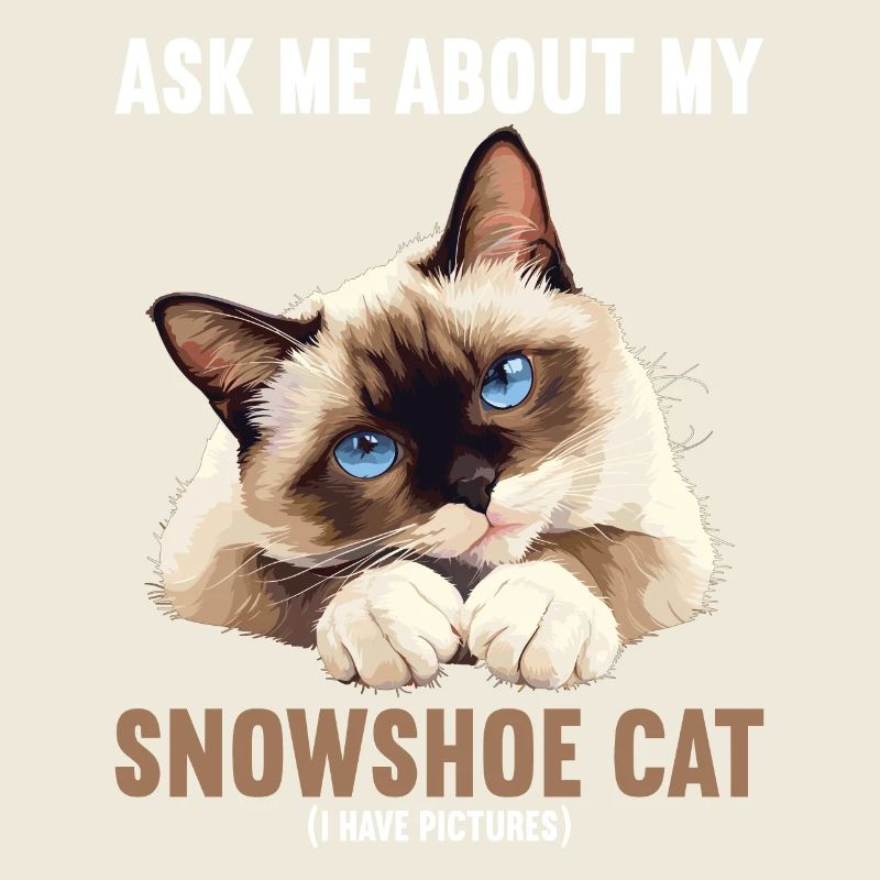 Snowshoe Kitten Snowshoe Cat
