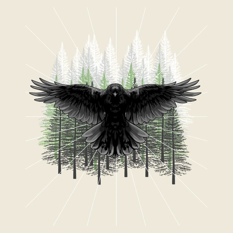 Forêt Faune Corbeau Corbeau Forêt Animaux Sombre