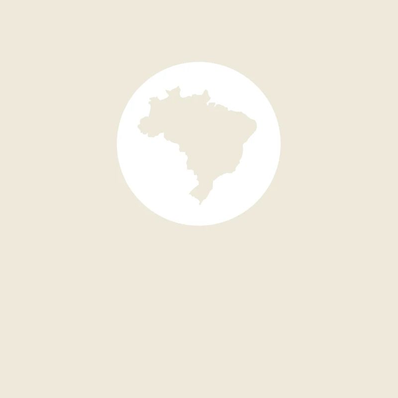 Brazil Map Brazilian