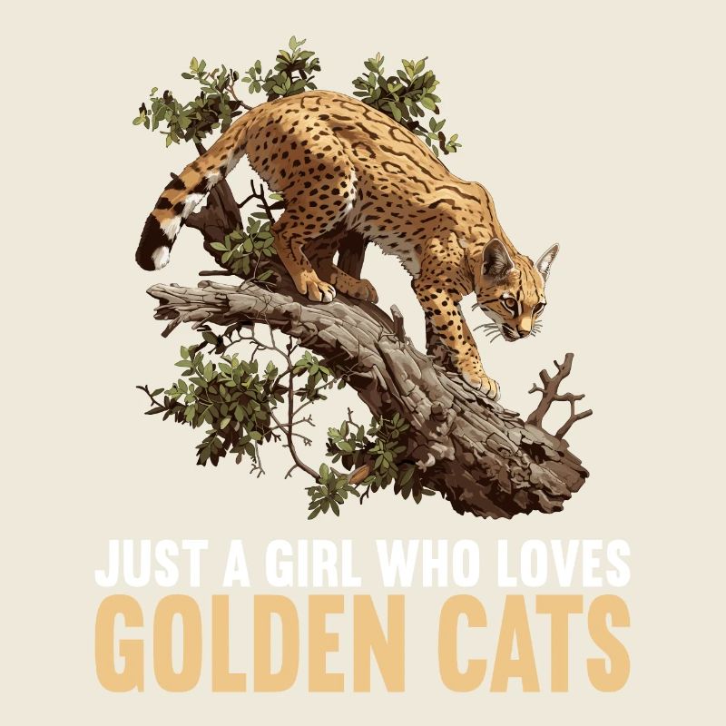 Chats dorés Chat doré