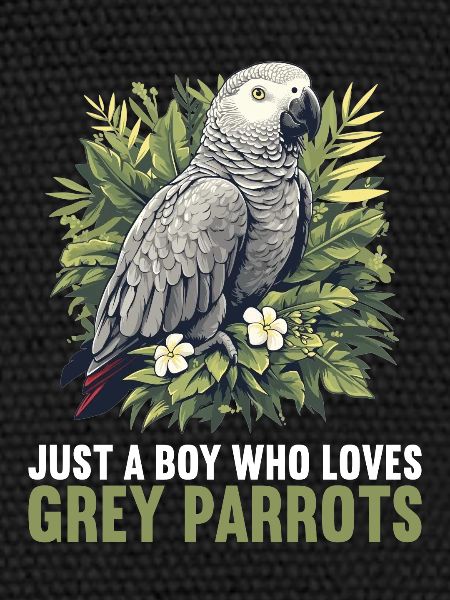 Perroquets gris d’Afrique