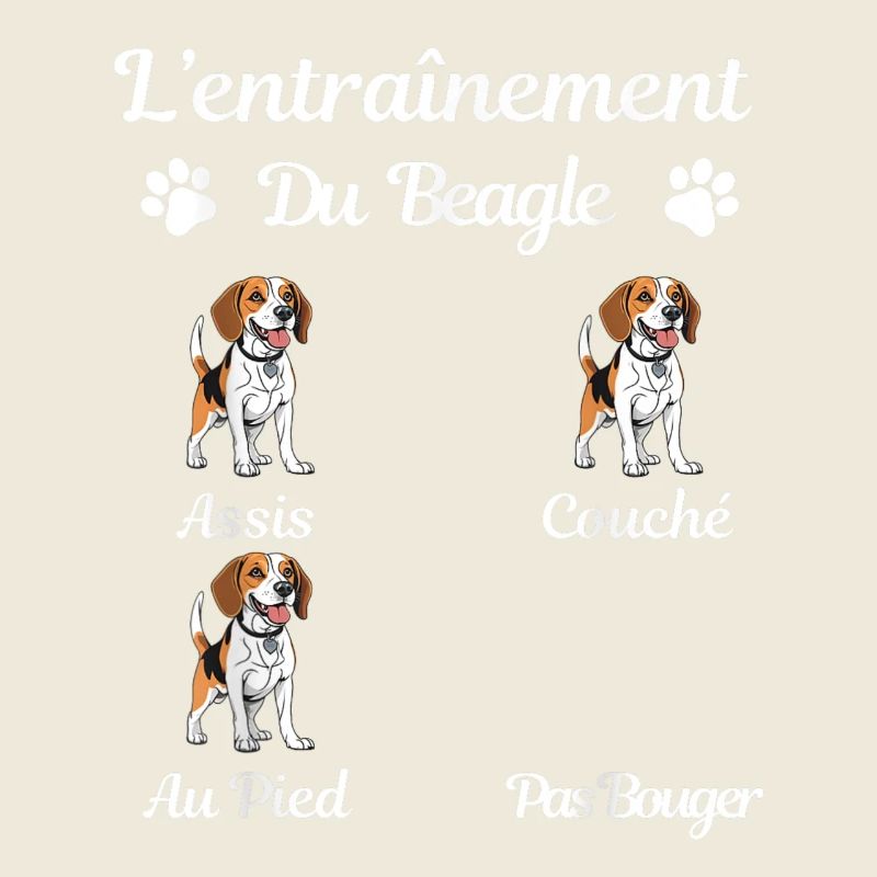 L'entraînement du Beagle amusant