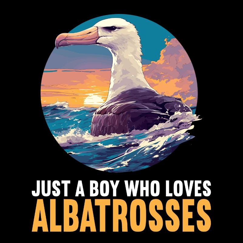 Albatross Albatrosse Albatros