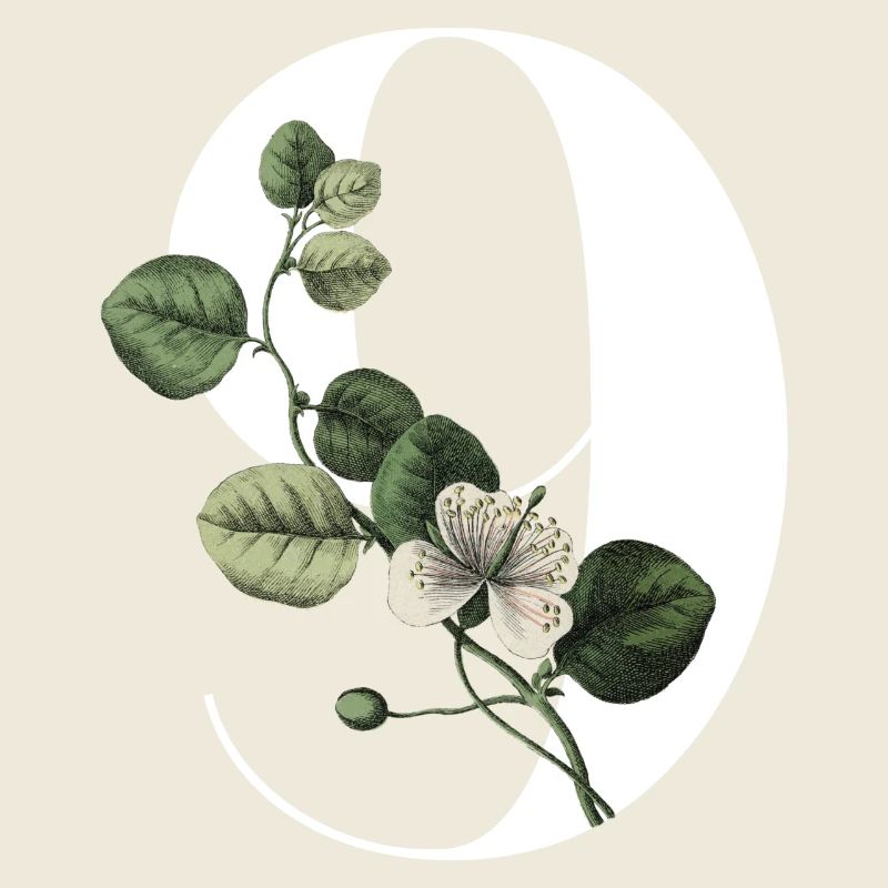 Numéro 9 floral vert -9e anniversaire floral