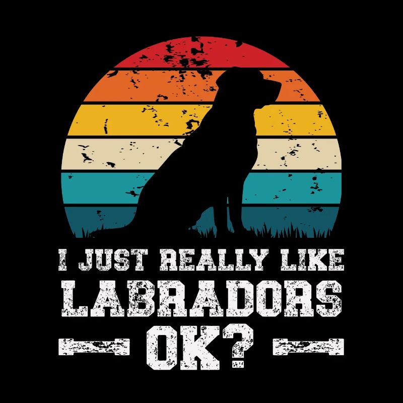 I really like labradors