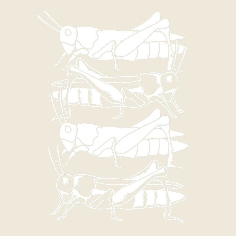 Grashüpfer Heuschrecke