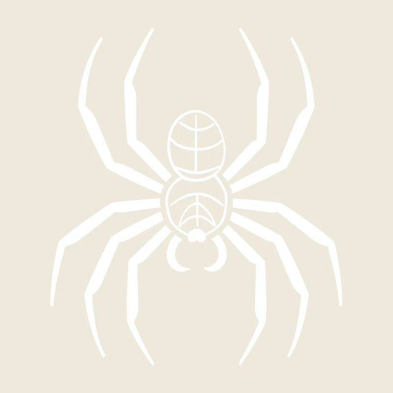 Spinne