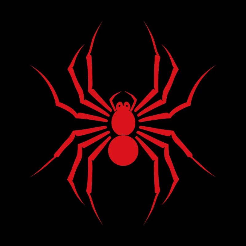 Spinne