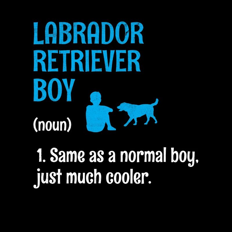 Labrador Retriever Boy Wie Ein normaler Boy Lab Do