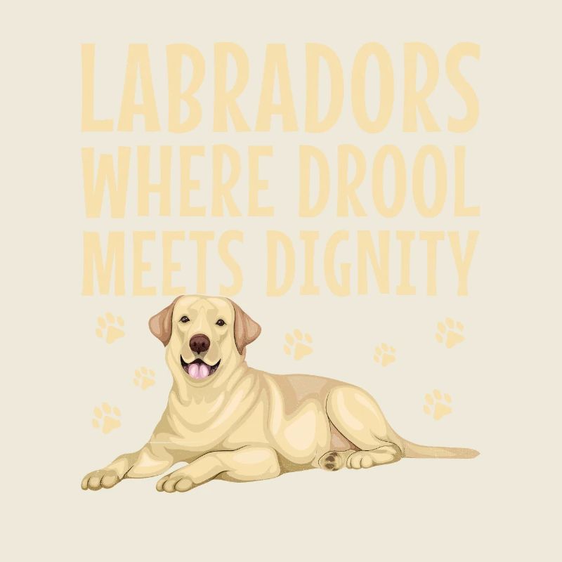 Labradors où la bave rencontre la dignité Labrador Retri