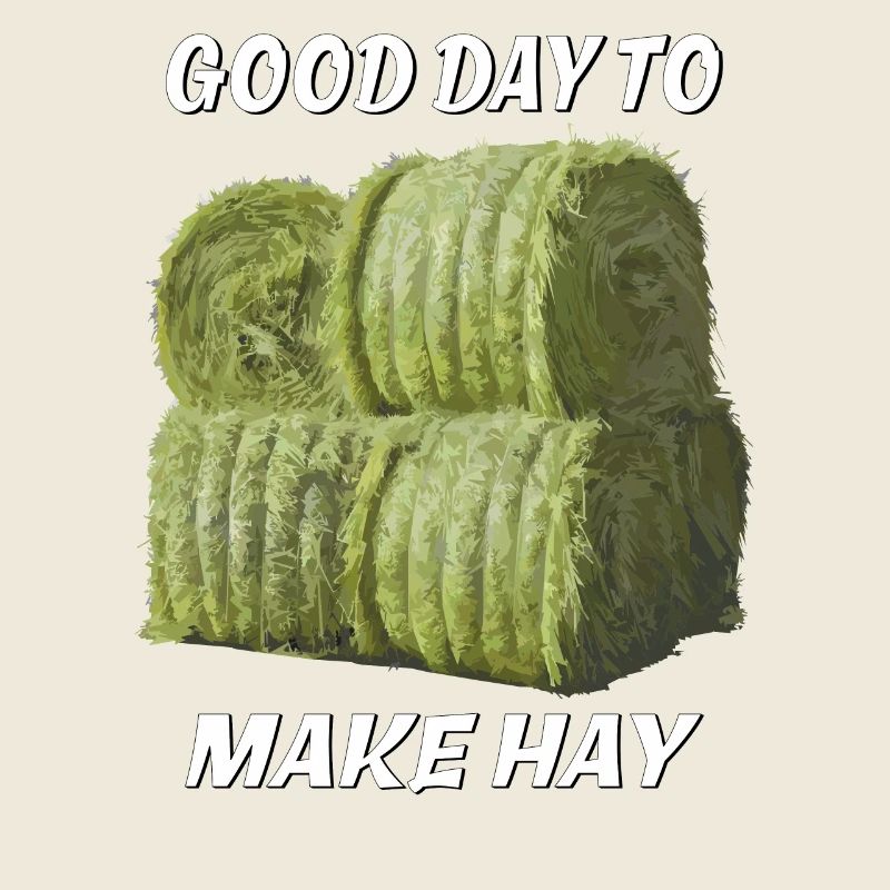 GOOD DAY TO MAKE HAY