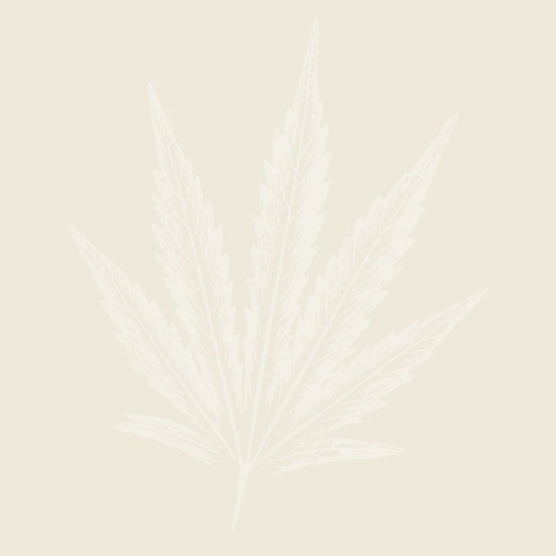 Feuille de cannabis - BLANC