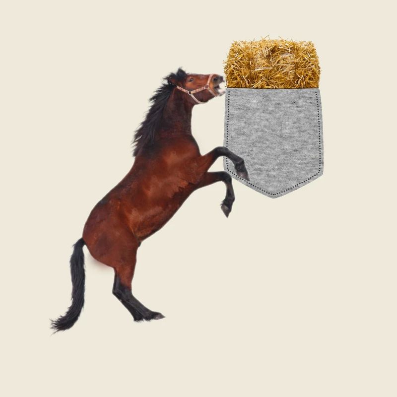 Pferd, das Nach Heu In Ihrer Falschen Tasche Greift Lustig