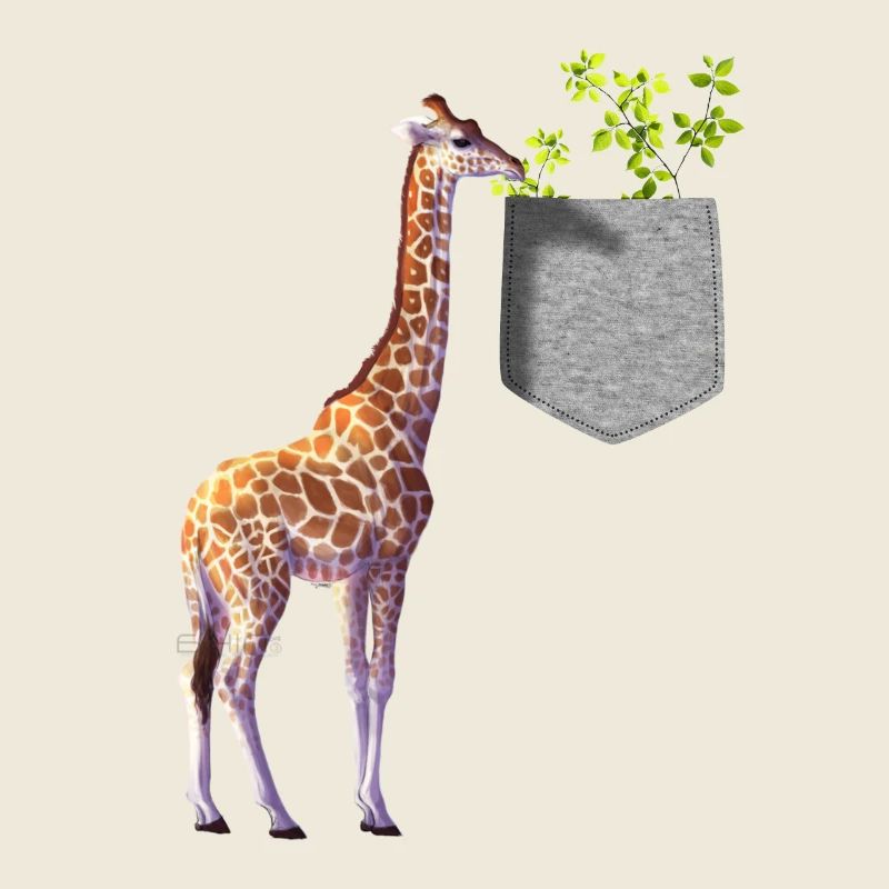 Girafe atteignant une branche avec des feuilles dans la poche