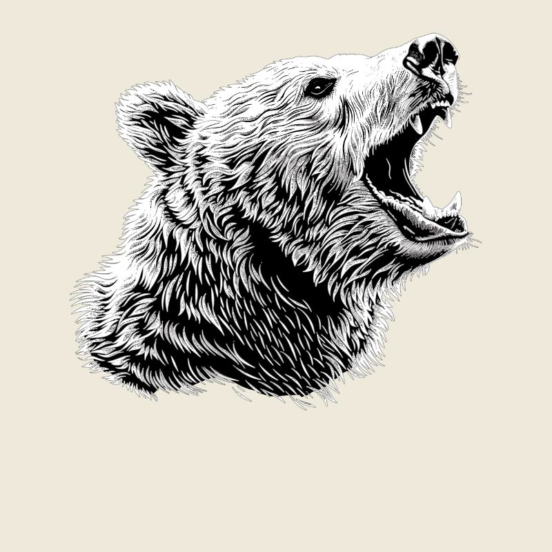 Ours Bären Bär