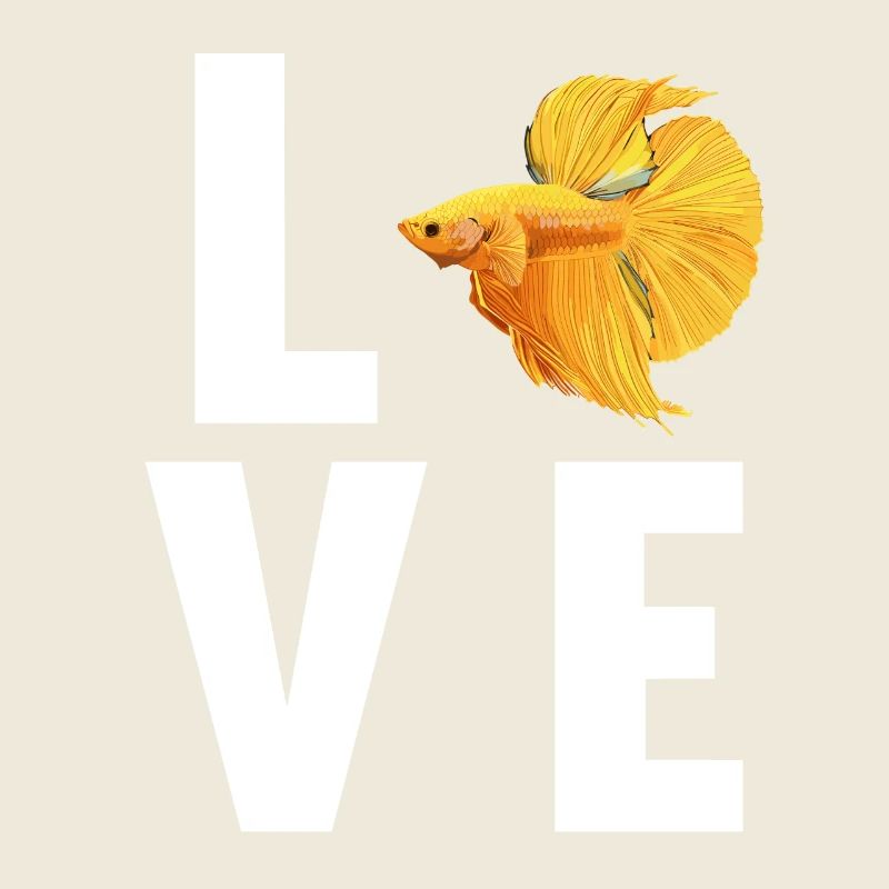 Bettas Betta Fish Betta