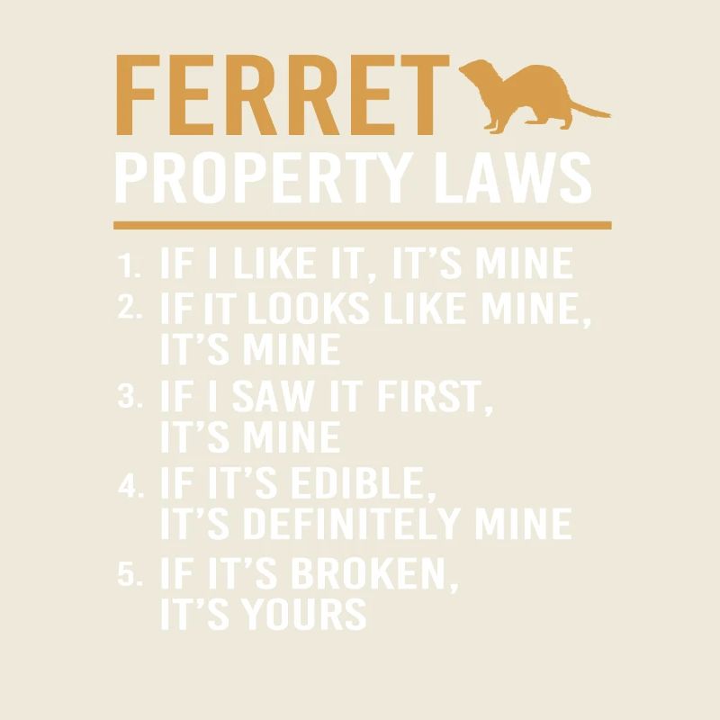 Furet