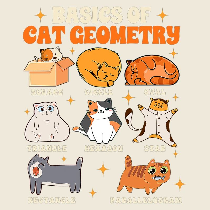 Math Teacher Life Teaching Basics Of Cat Geometry