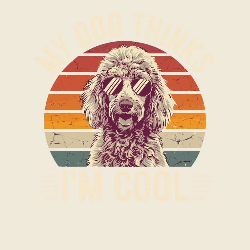 Caniche mon chien pense que je suis cool