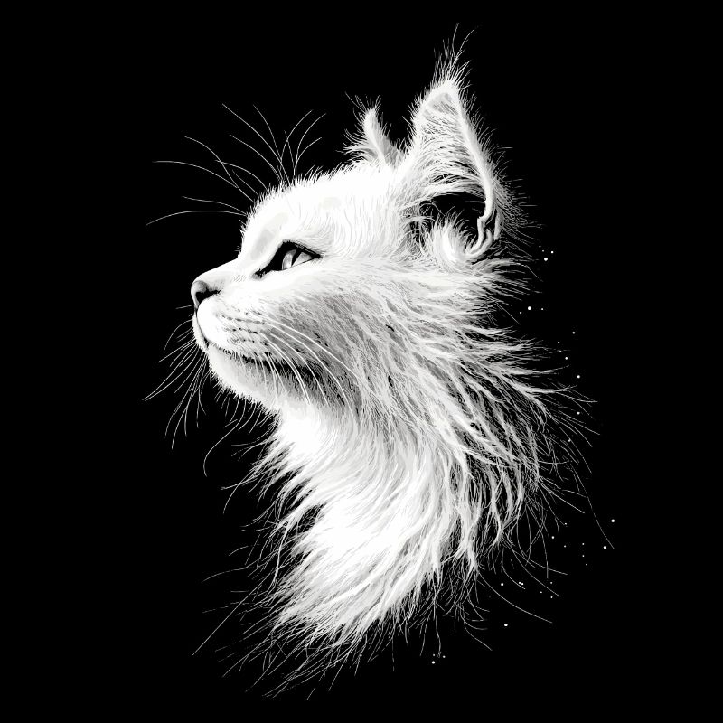 Chat Angora Blanc Chat Angora Chats Angora Mignons