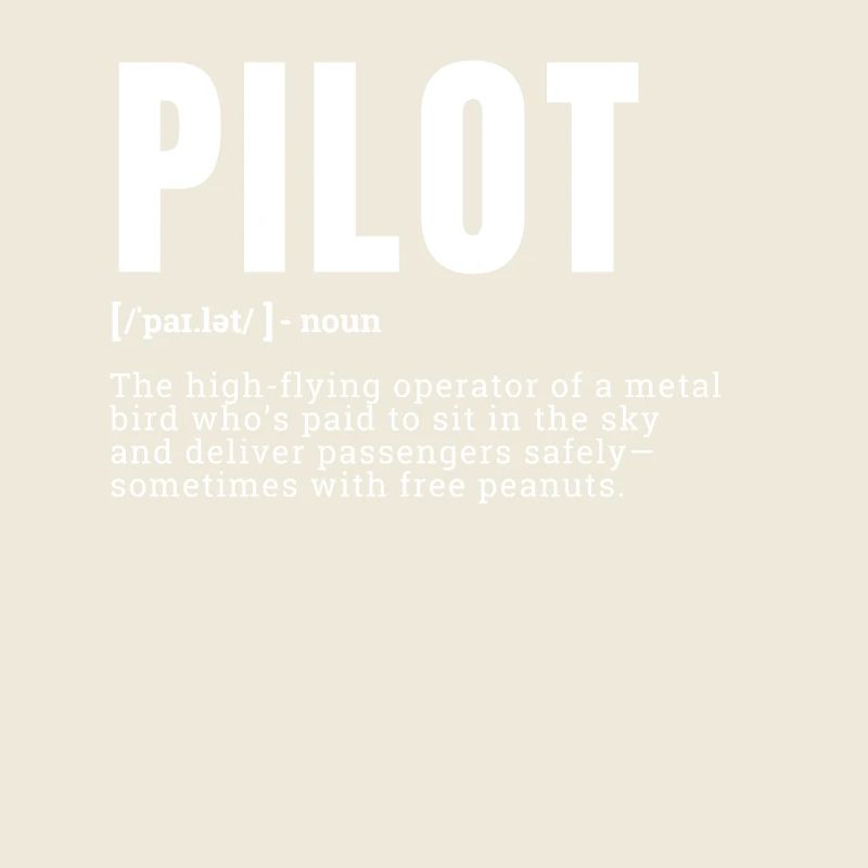 Funny Pilot Dictionary Definition Occupation Occup