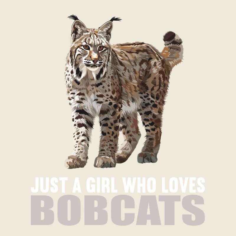 Bobcats Rotluchse Rotluchs Luchs
