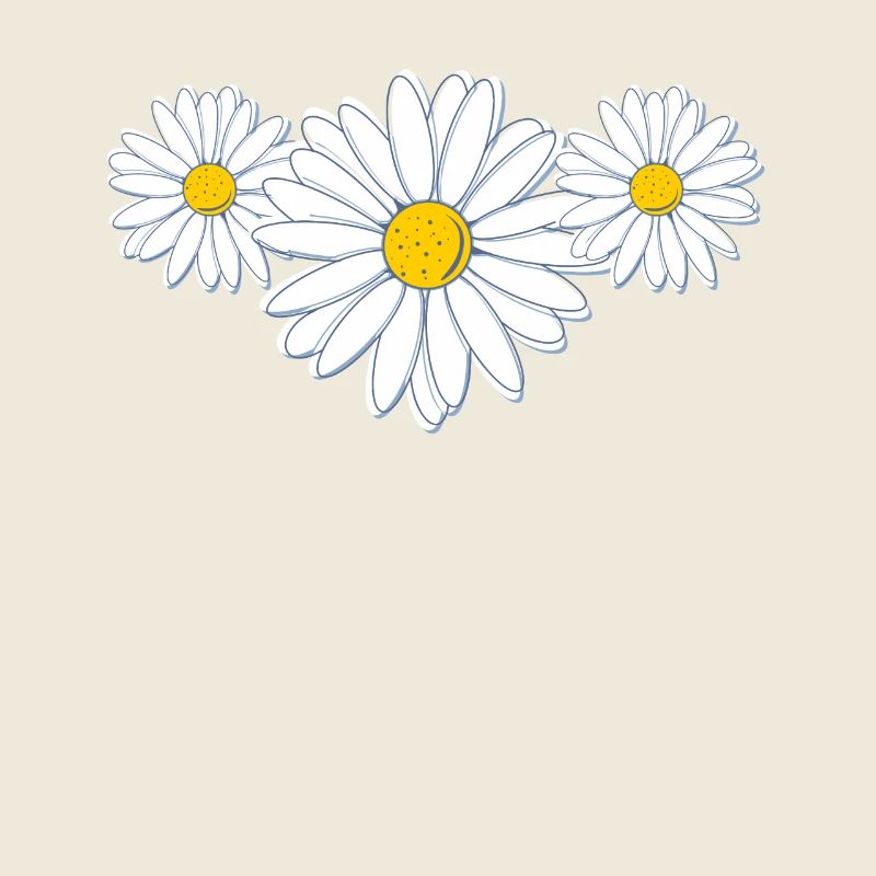 Schöne Gänseblümchenblüte Beautiful Daisy Flower