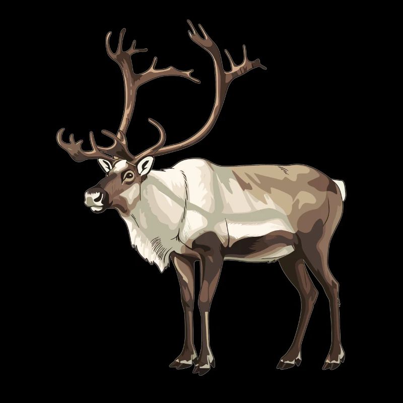 Caribou Karibus Karibu