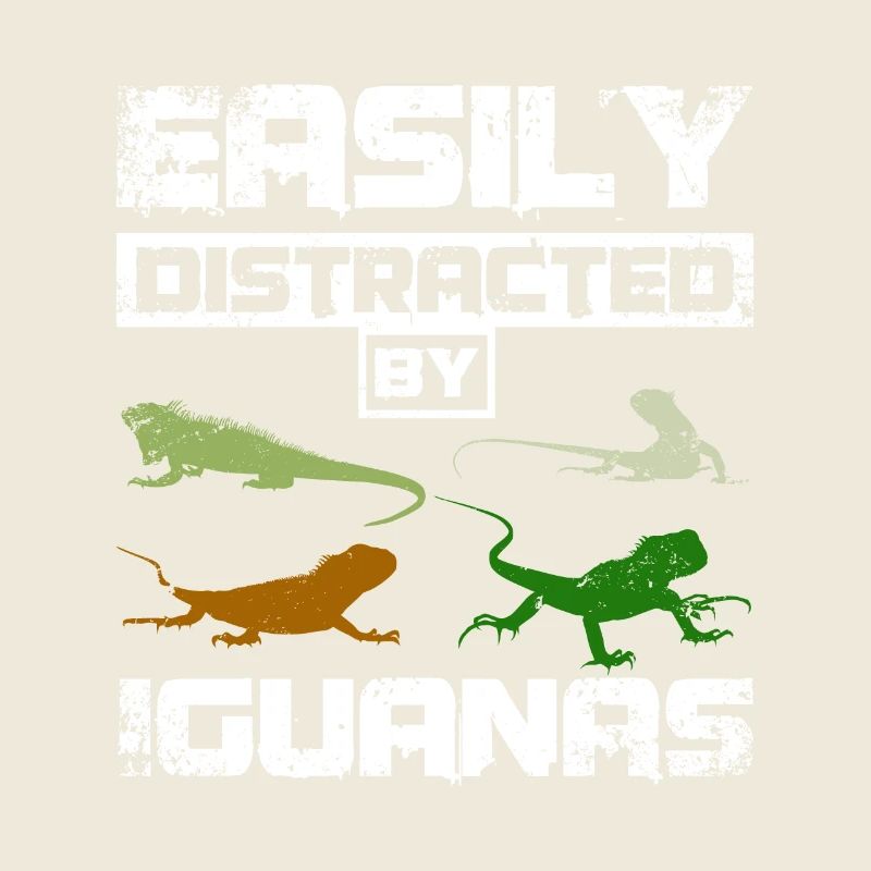 Easily distracted by Iguanas