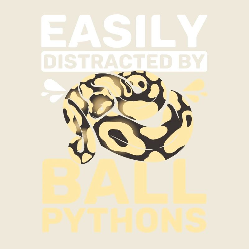 Facilement distrait par les pythons royaux