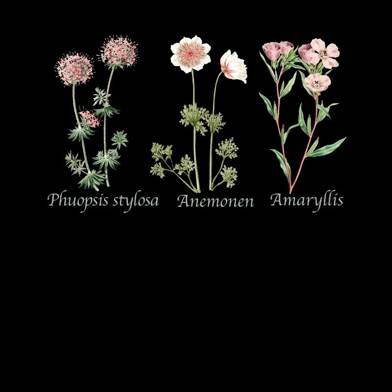 Botanische Illustration Botanical Illustration