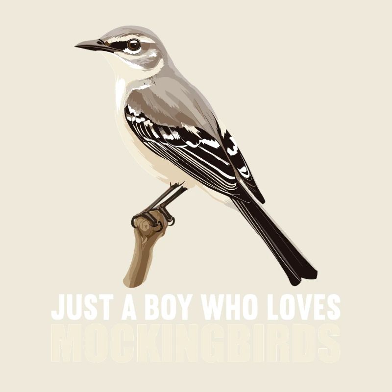 Oiseaux moqueurs Oiseaux moqueurs