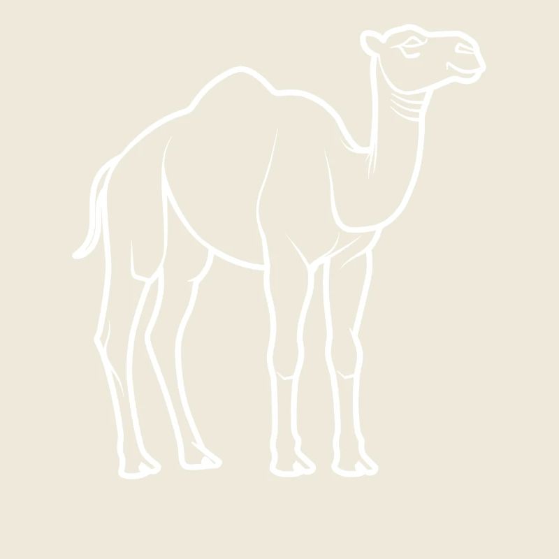camel