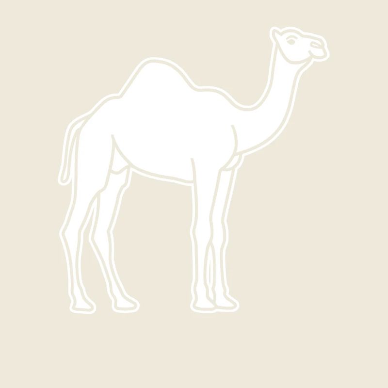 camel