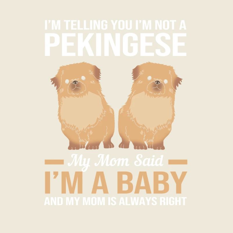 Péningèse pékinois