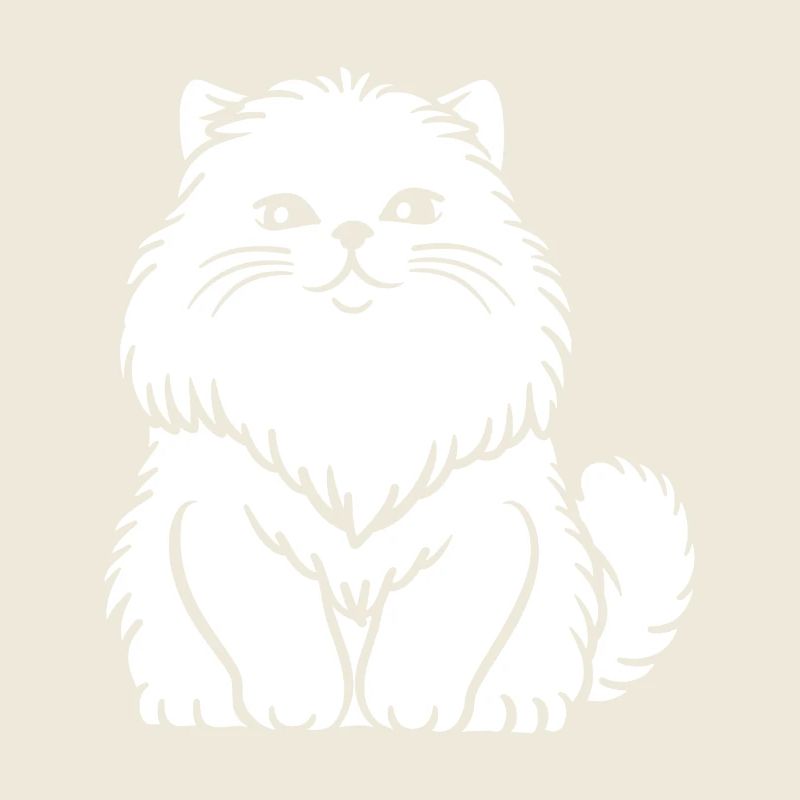 Chat persan