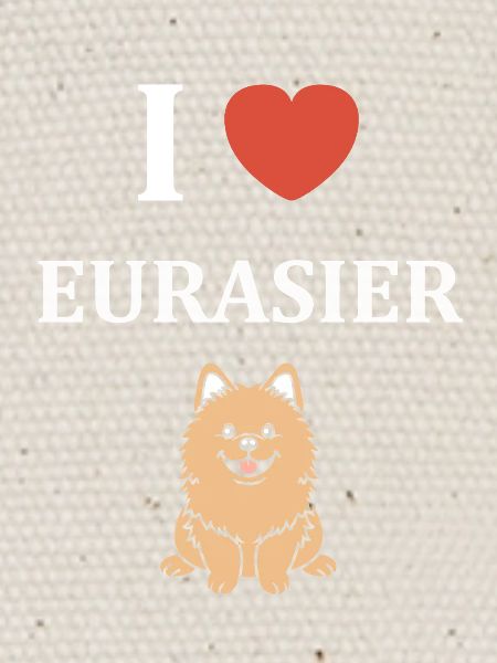 eurasier