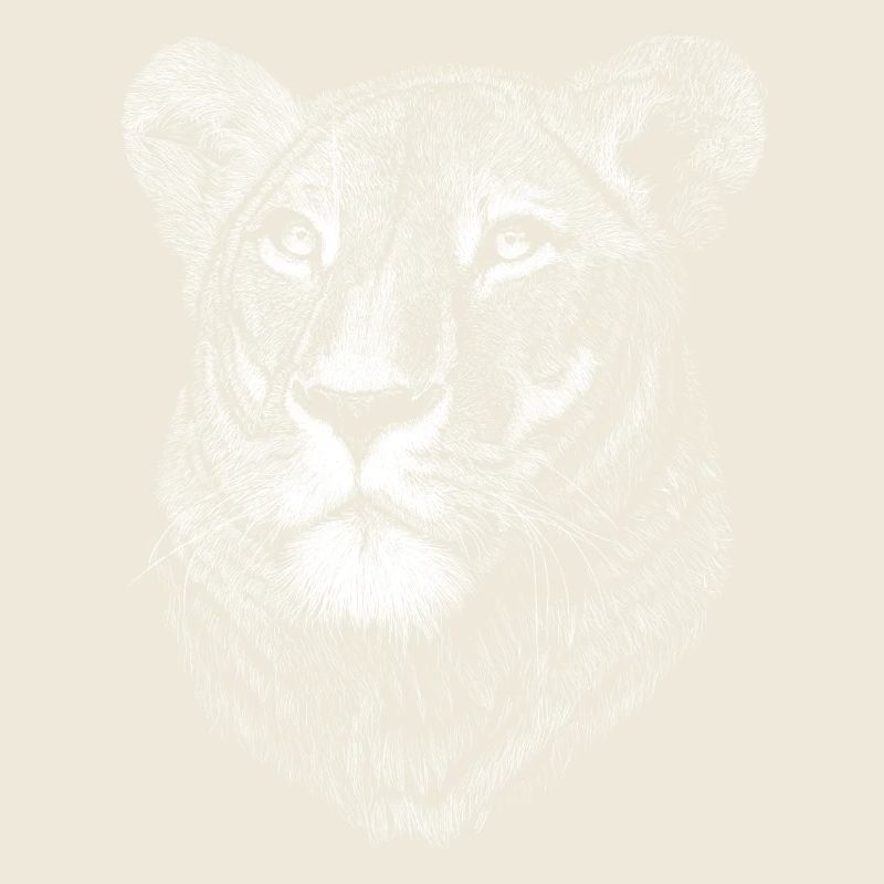 Lioness