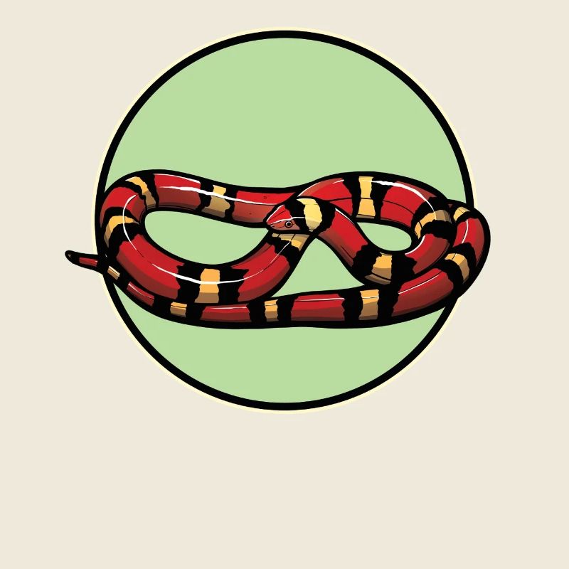 Serpents corail Serpent corail