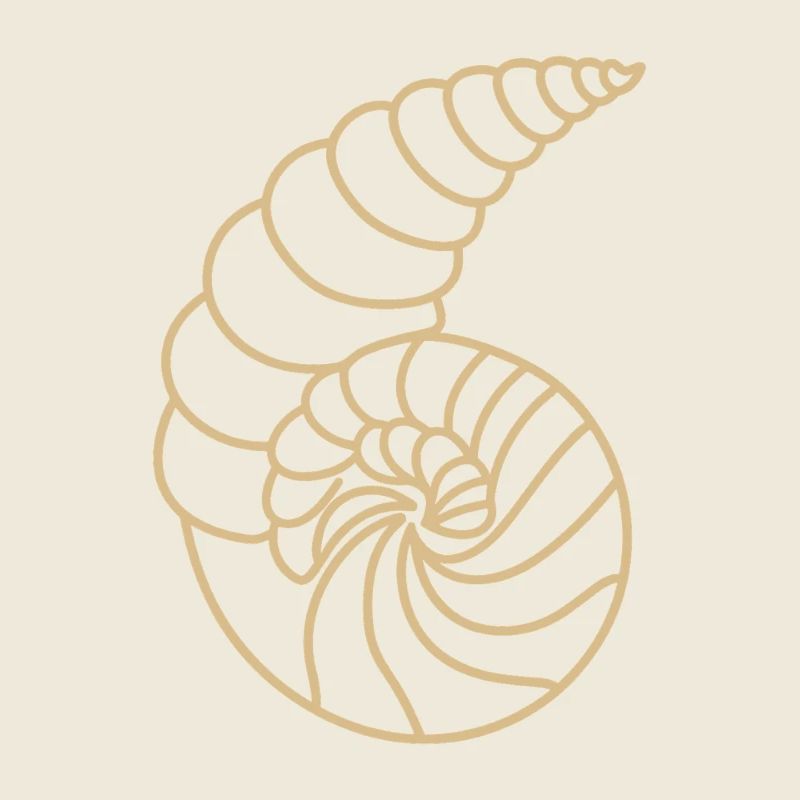 coquillage