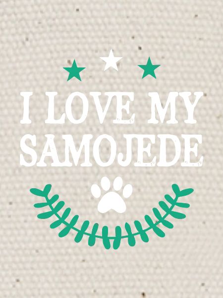 Samoyed