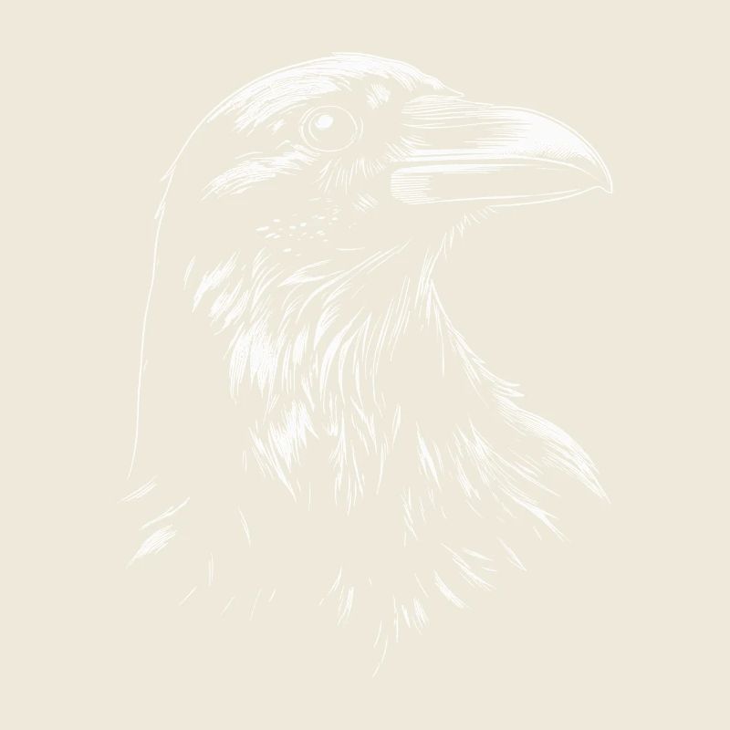 Corbeau, Corbeau, Oiseau, Corbeau Corbeau, Choucas, Corbeau noir