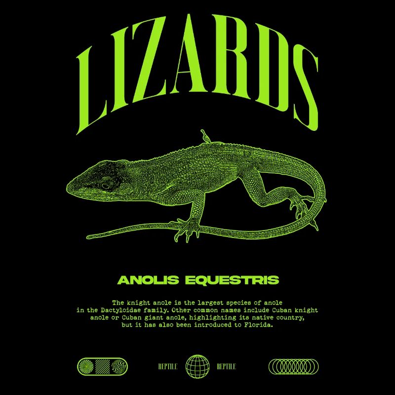 Cuban Knight Anole Reptile Keeper Lizard