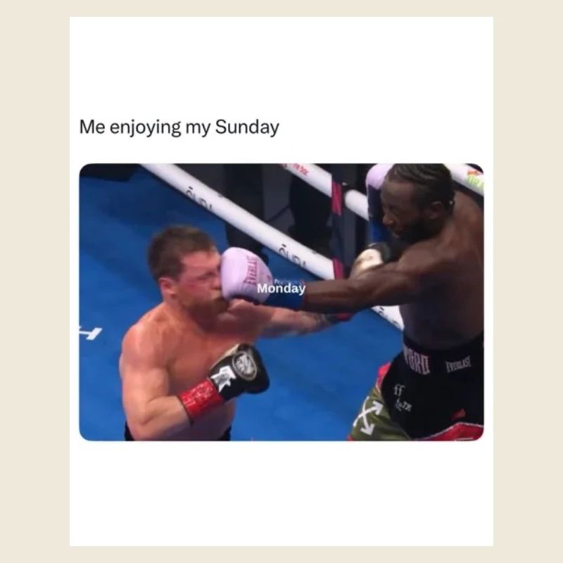 Moment de boxe du dimanche