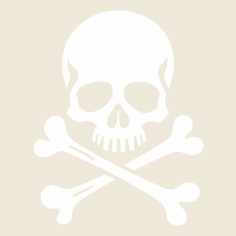 Crâne Jolly Roger classique