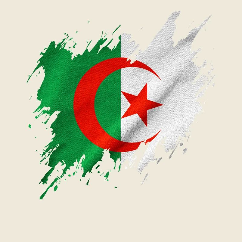 Algeria flag, torn style