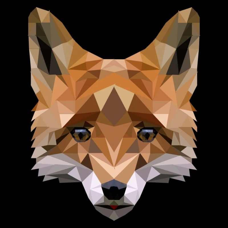 renard polygonal
