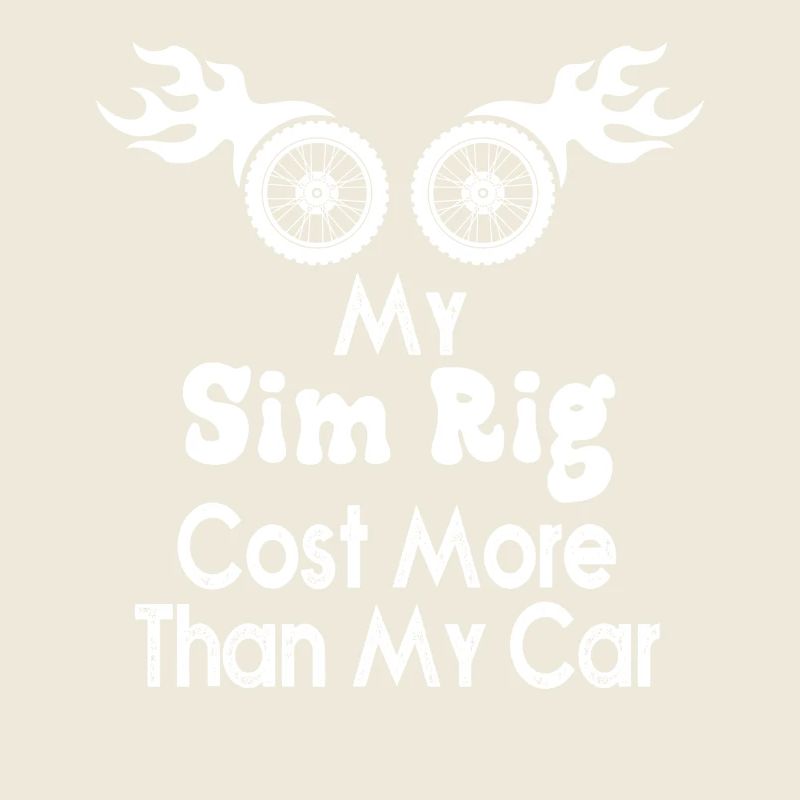 Sim-Rig kostet mehr als mein Auto