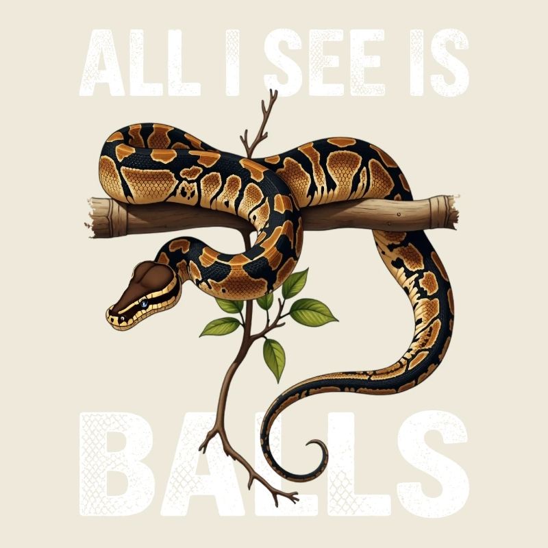 Königspython Schlangen Liebhaber Terrarium Python