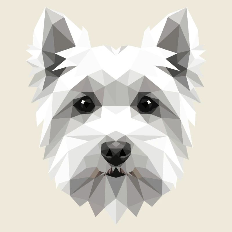 Petit chien maltais aime le doux maltais